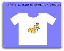 T-shirts  £10.00 each free UK delivery